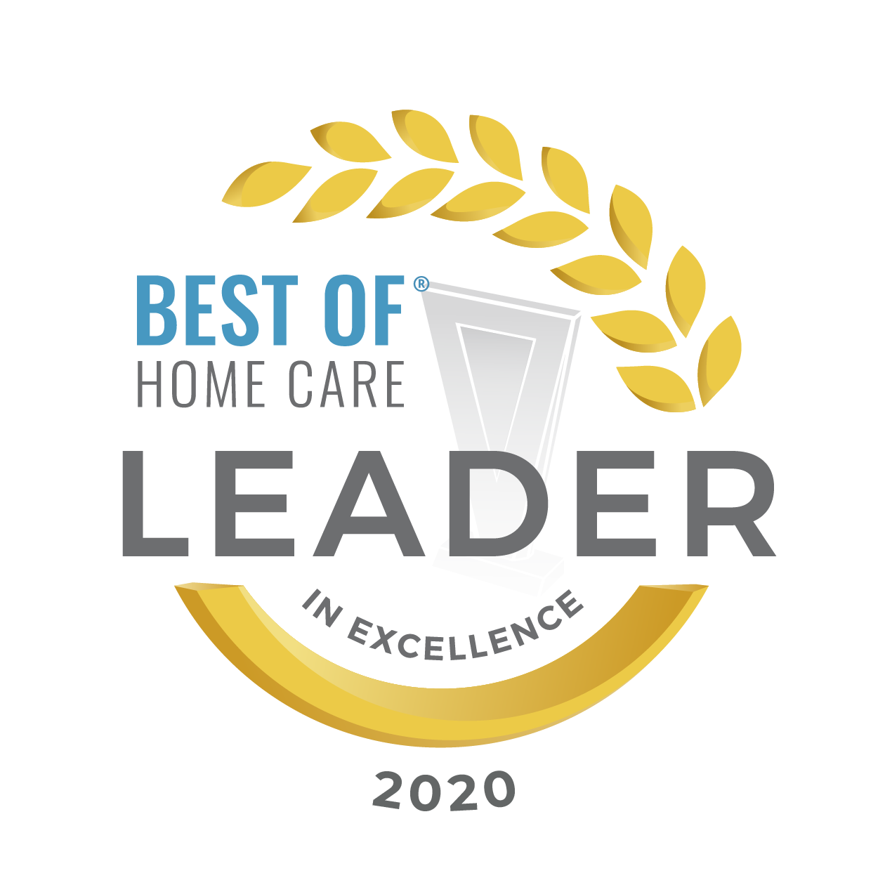 Home Care Pulse - Best of Home Care Leader in Excellence Award 2020