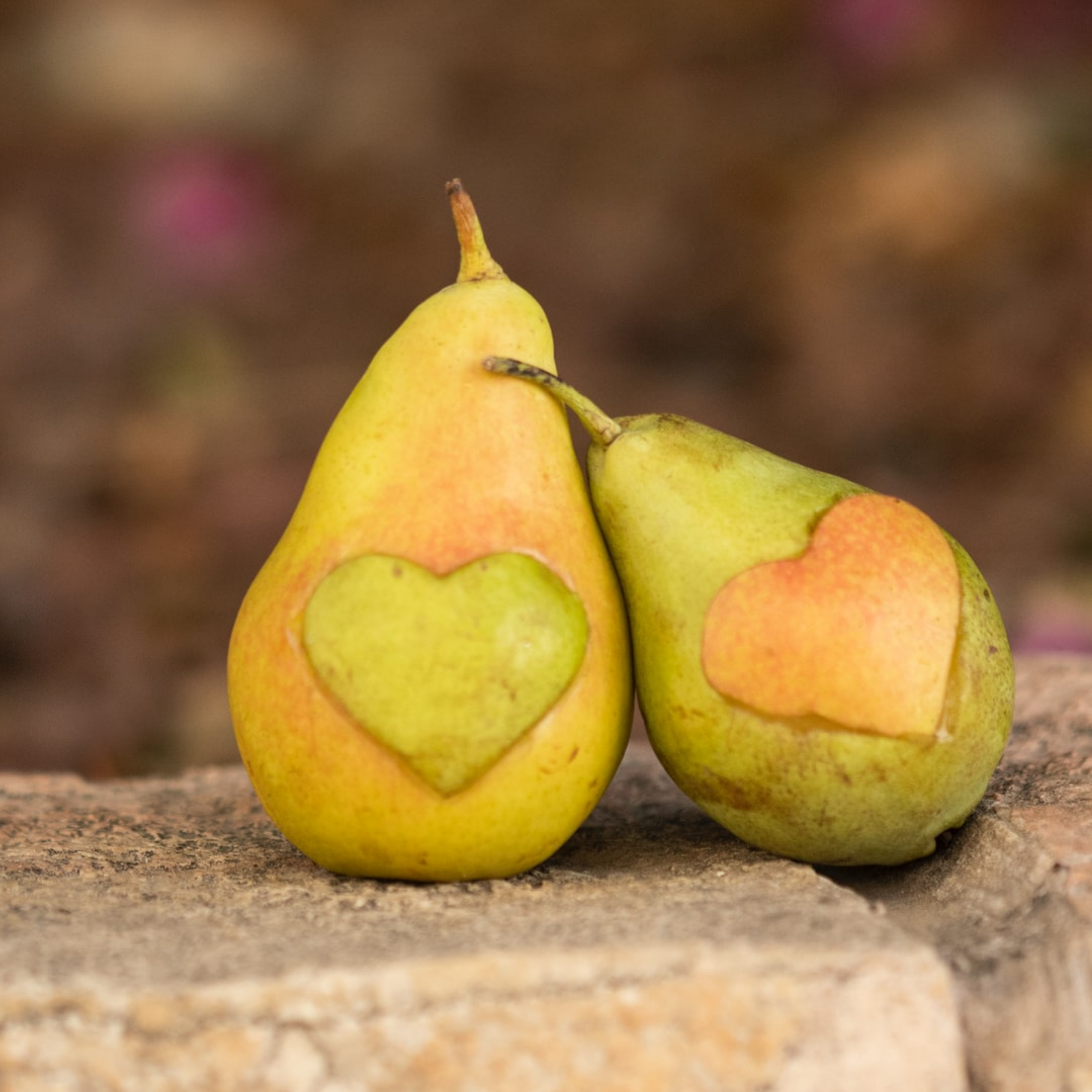 Pears - Venngage