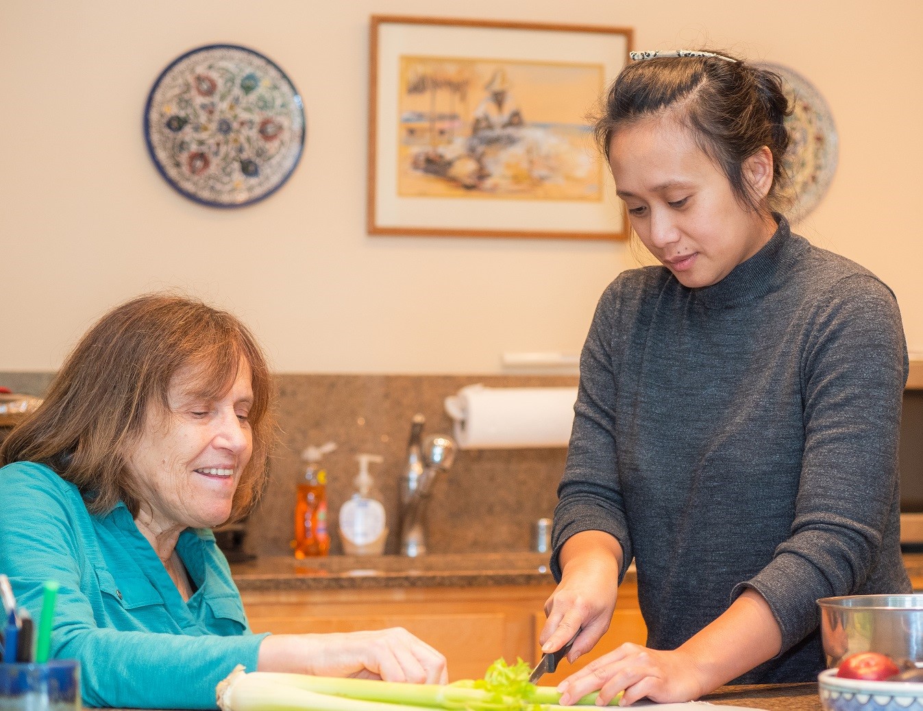 what is a caregiver what is a caregiver