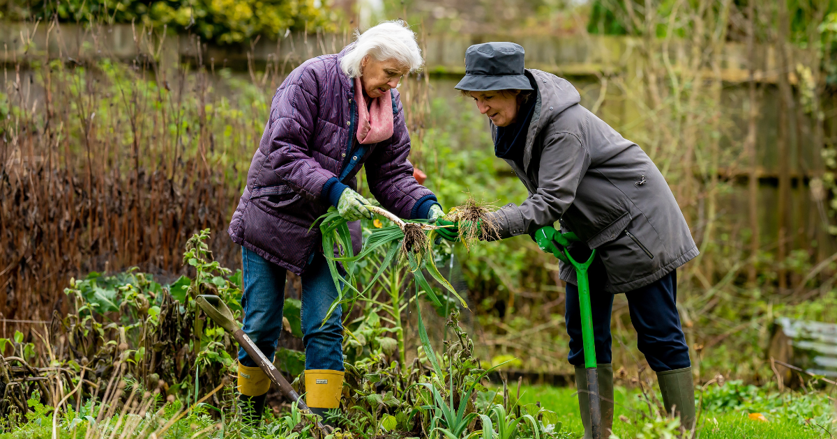 Women in garden having in-home care