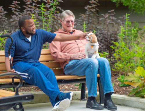 Help for Seniors: Why Personal Care Services?