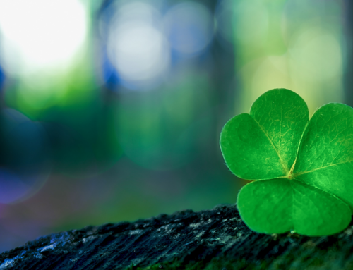 So Lucky for Senior in Home Care – Happy St. Patrick’s Day