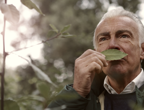 Unraveling Early Clues: How Home Caregivers Can Aid in Alzheimer’s Detection through Sense of Smell