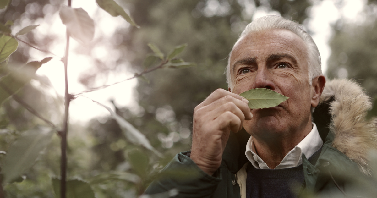 Sense of smell in elderly