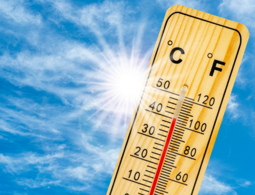 Navigating the Mental Toll of Extreme Heat: Caregiver’s Guide to Keeping Seniors Cool
