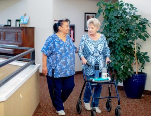 Enhancing Quality of Life: A Comprehensive Guide to Senior Care In Home Services