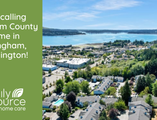 Expanding Horizons: Serving Whatcom County with Home Care Services in Bellingham, Washington