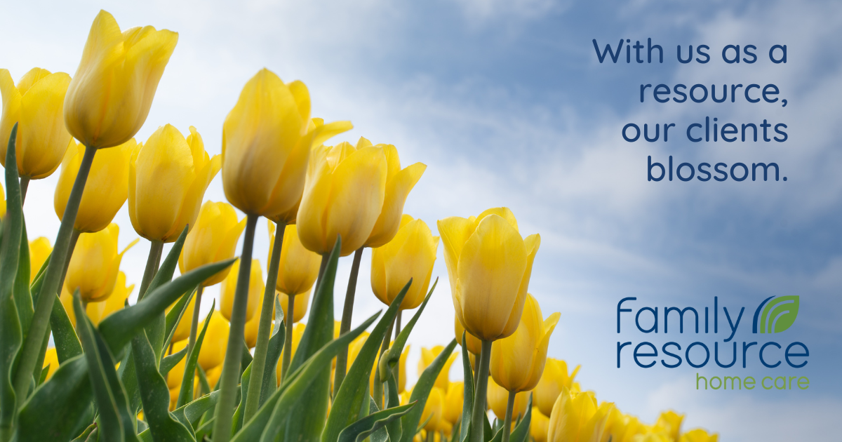 How Clients Blossom in Our Care: Discover the Best “Home Care Near Me”
